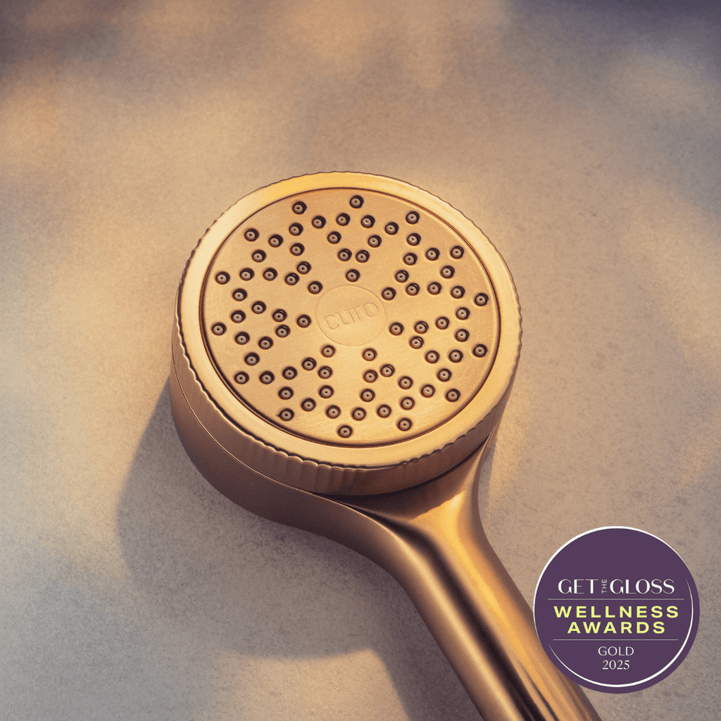 Filtered Shower Head
