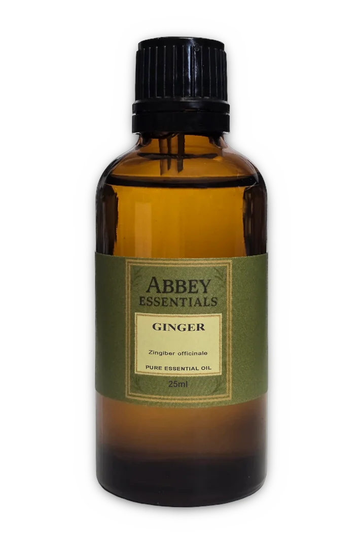 Ginger Essential Oil