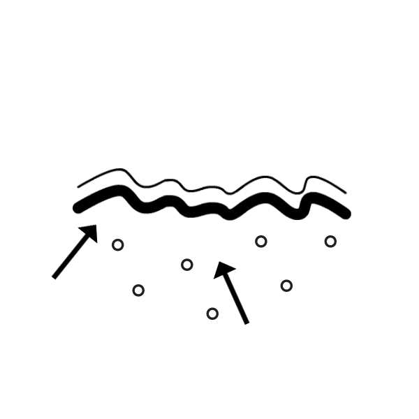 Vegan Collagen Superfood - USA