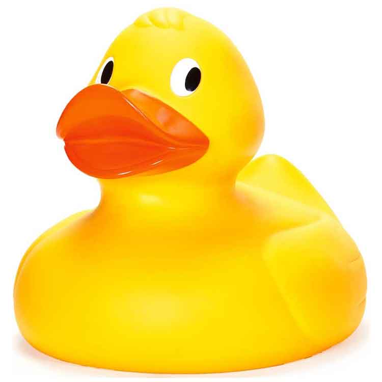 Giant Duck